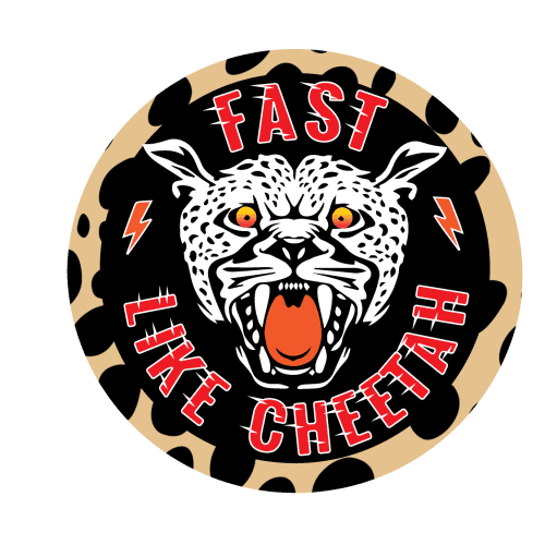 Super 73 Cheeta Decals rear fender sticker