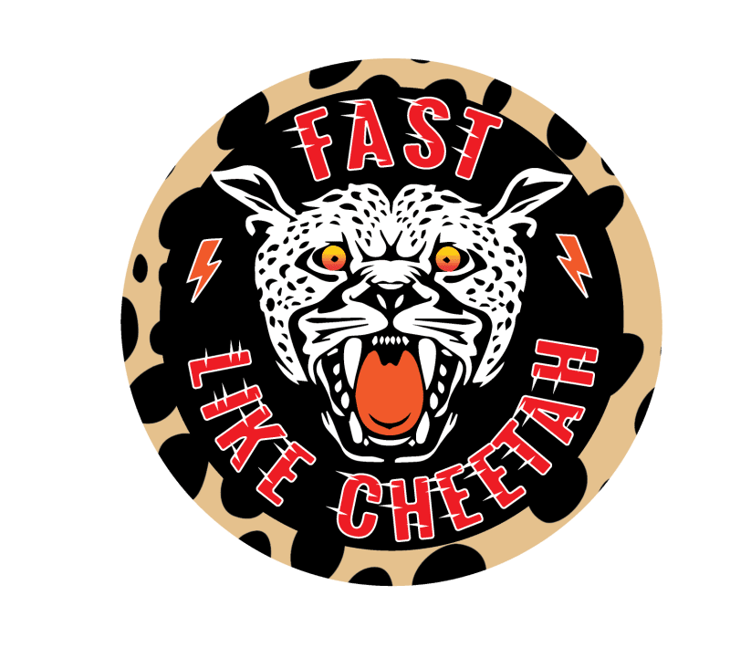 Super 73 Cheeta Decals rear fender sticker